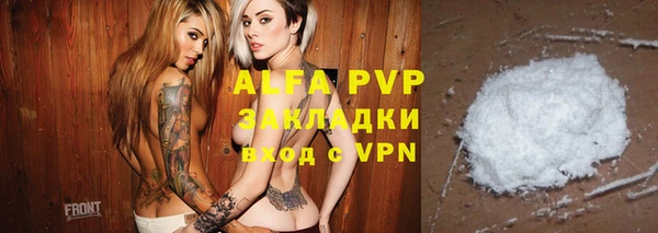 стаф Алзамай