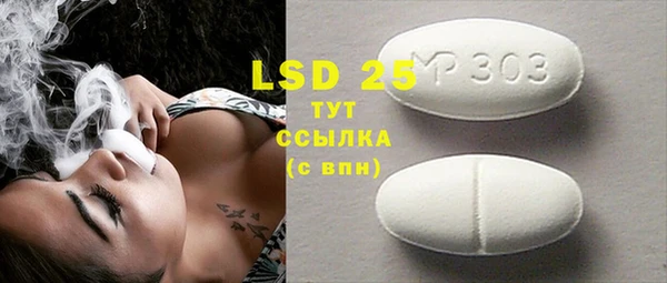 стаф Алзамай