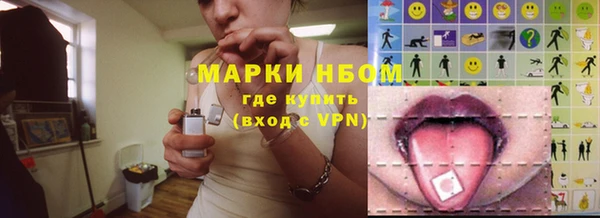 стаф Алзамай