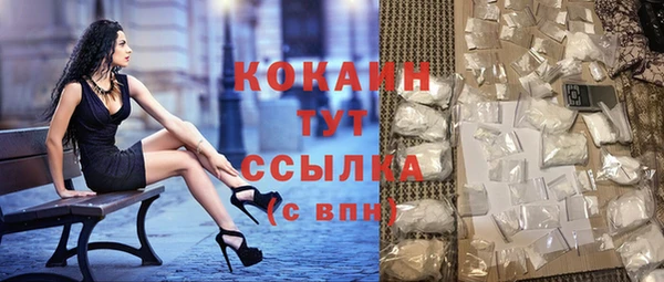 стаф Алзамай