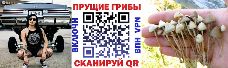 Галлюциногенные грибы ЛСД  закладки  Лобня 