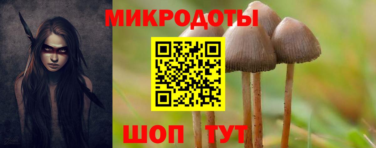 Лобня  Галлюциногенные грибы MAGIC MUSHROOMS  Псилоцибиновые грибы мицелий  Вход с VPN 